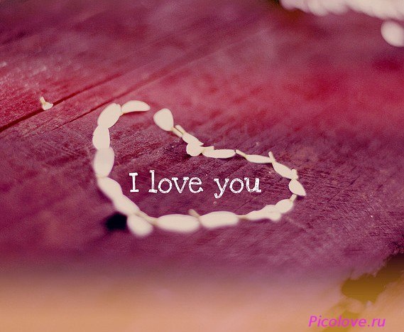 Ксения Федотова | Запорожье