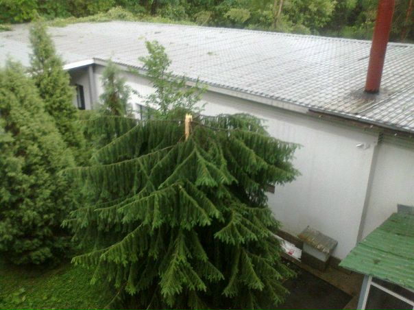 №37, Мадина Молдабаева, Алматы №37, Мадина Молдабаева, Алматы