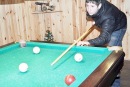 Фотография Балагуры Богдана