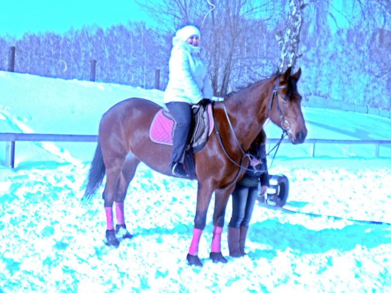 Ирина Соболева | Новомосковск