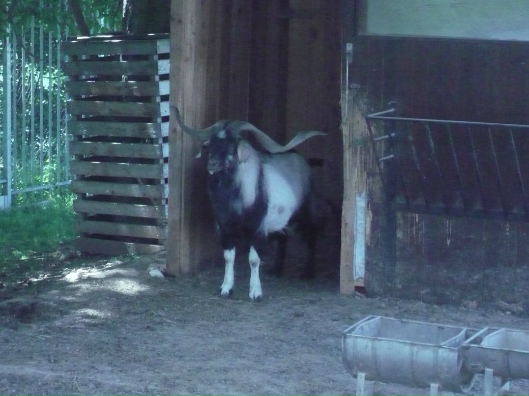 Александр Смирнов , | 