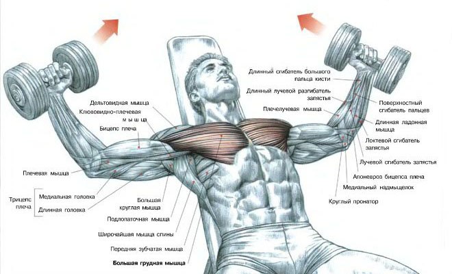 Майя Саяхова -=Малик=- | Москва