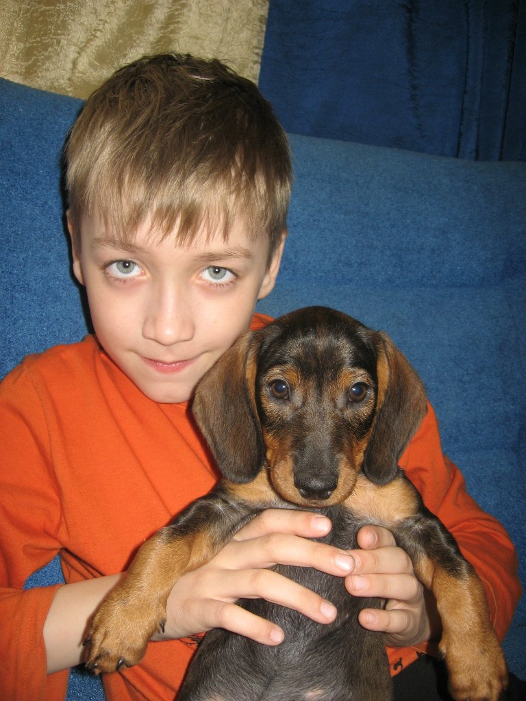 Владимир Бахман | Смоленск