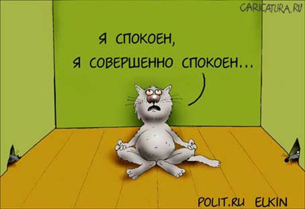 №103, Ирина Шуянова, Нижний Тагил №103, Ирина Шуянова, Нижний Тагил
