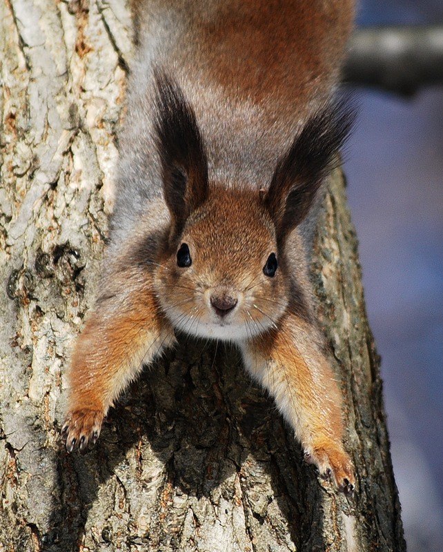 Ольга Перехрыстюк | Рязань