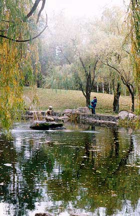 Аліна Гарбуз Миколаївна | Боровица