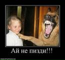 Фотография Алексей Карпенко