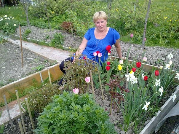 №121, Елена Сергеева, 15.03.1966, Санкт-Петербург №121, Елена Сергеева, 15.03.1966, Санкт-Петербург