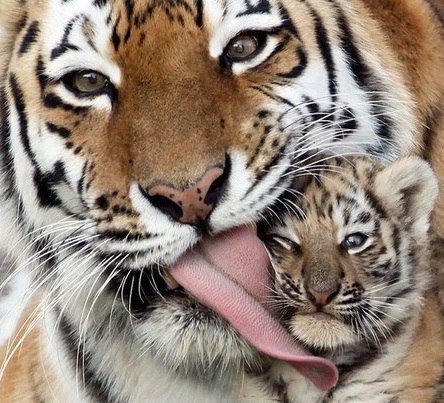 Оксана Бойко | Киев