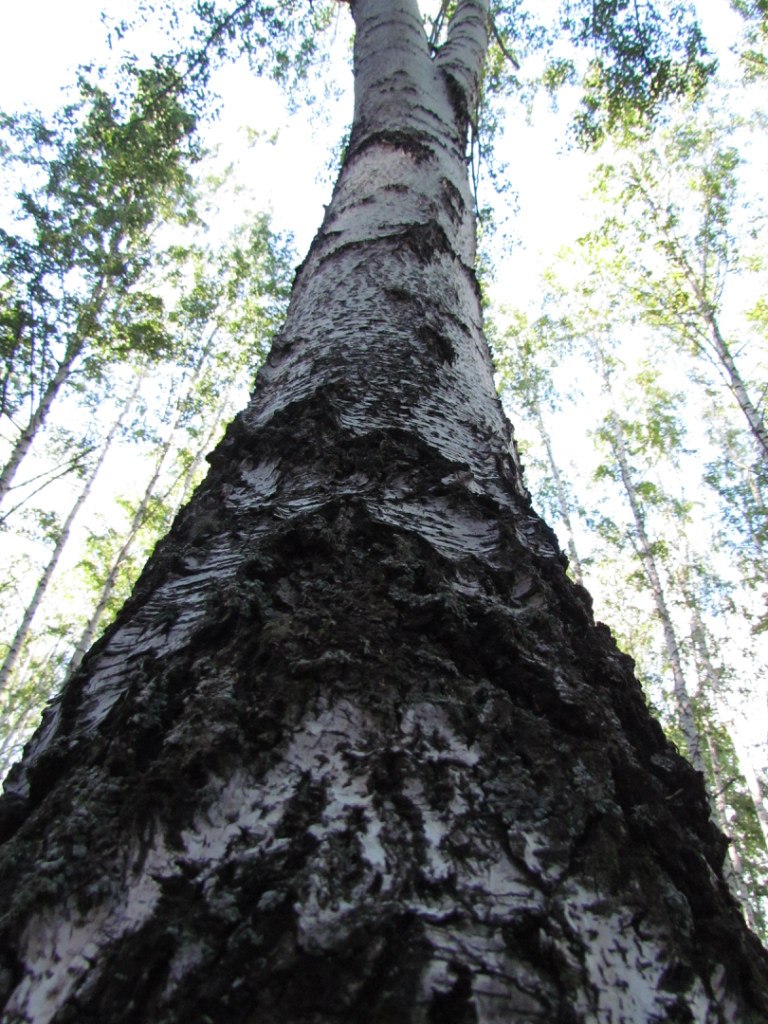 Яна Куклина Dance-Life | Мурманск