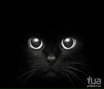 №25 Ксения Тимофеева 05.05.1989: профиль, фото, статус - ВКонтакте №25 Ксения Тимофеева 05.05.1989: профиль, фото, статус - ВКонтакте