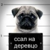 Аватар: Бабер Сусликов