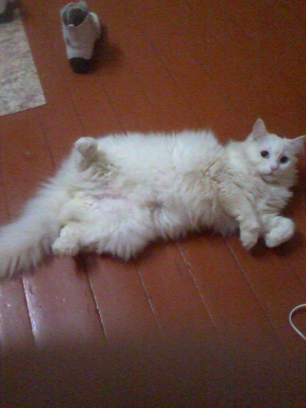 Татьяна Баранова | Санкт-Петербург