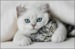 Игорь Бобов фотография #7