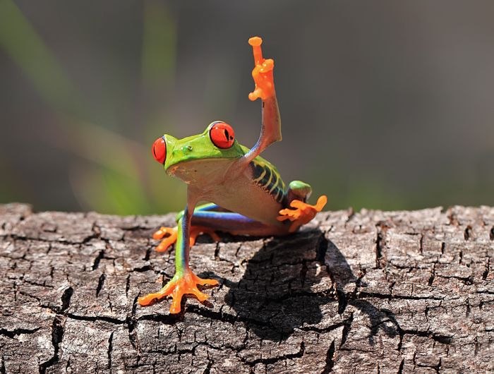 Иван Хруслов Happy_Gilmore | Москва