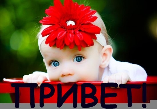 №155, Олечка Ташогло №155, Олечка Ташогло