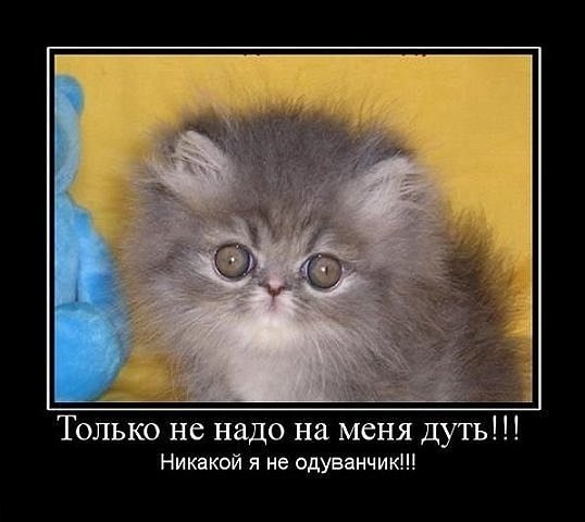 Надежда Храмченко | Набережные Челны