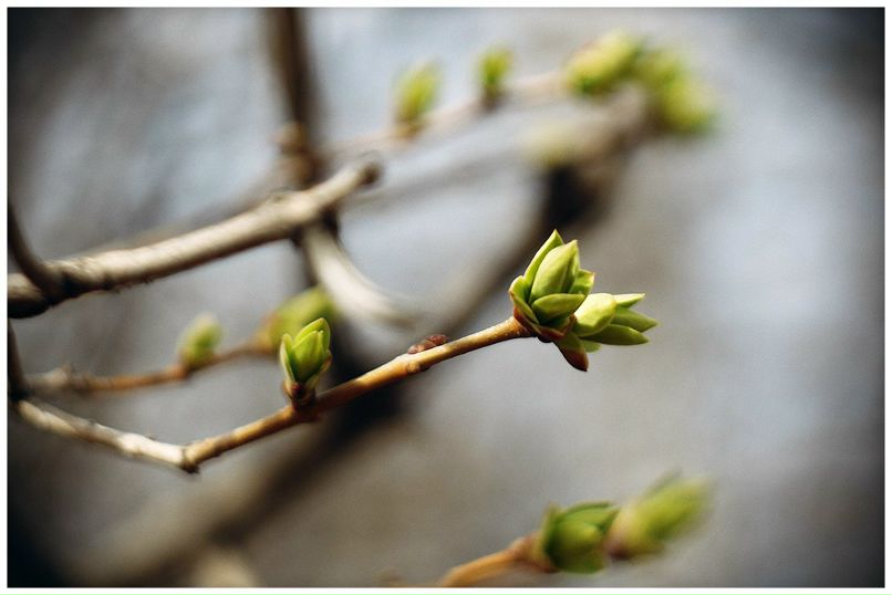 Юльхен Кляйнъ | 