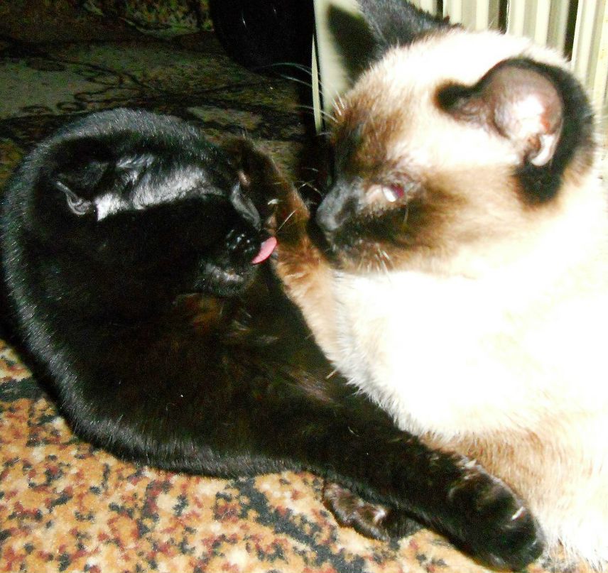 Алёна Селедцова | Сортавала