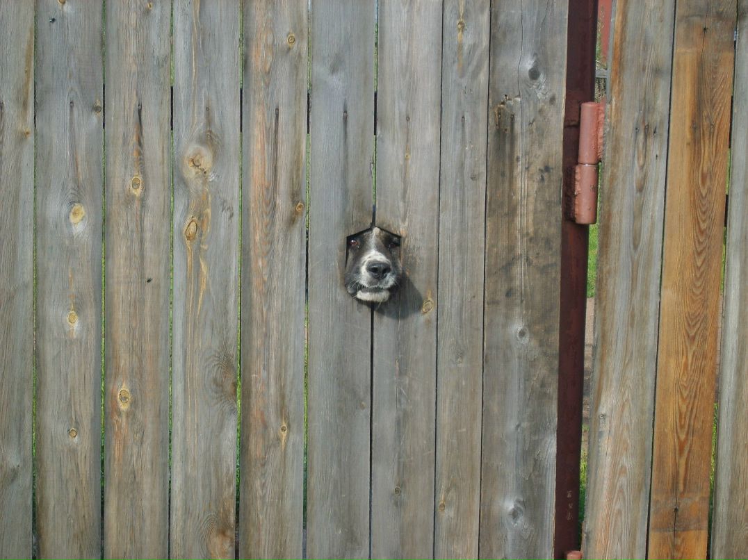 Костя Зарубин | Братск