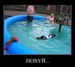 Фёдор Мавлютов фотография #37