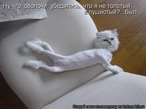 №35, Наталья Степанова, 39 лет, Киев №35, Наталья Степанова, 39 лет, Киев