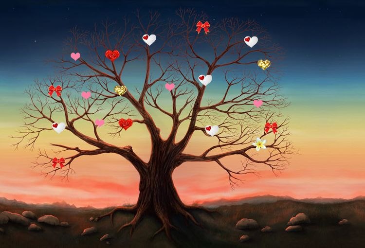 Наталья Фадеева | Витебск