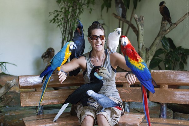 Наталия Гуляева Tiens-Тяньши | Санкт-Петербург