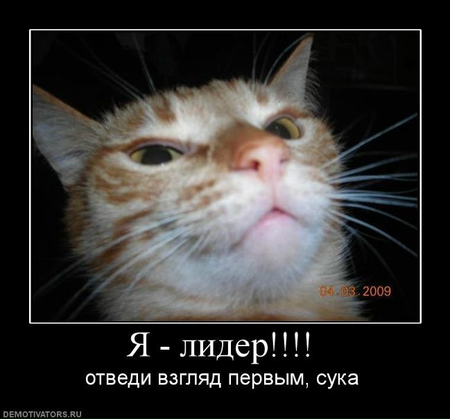 №33, Сергей Расторгуев №33, Сергей Расторгуев