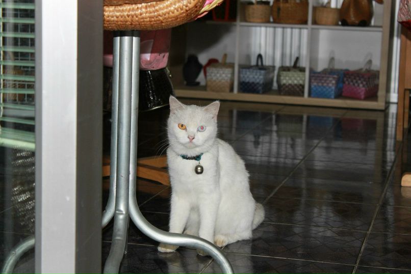 Анна Веселова | Москва