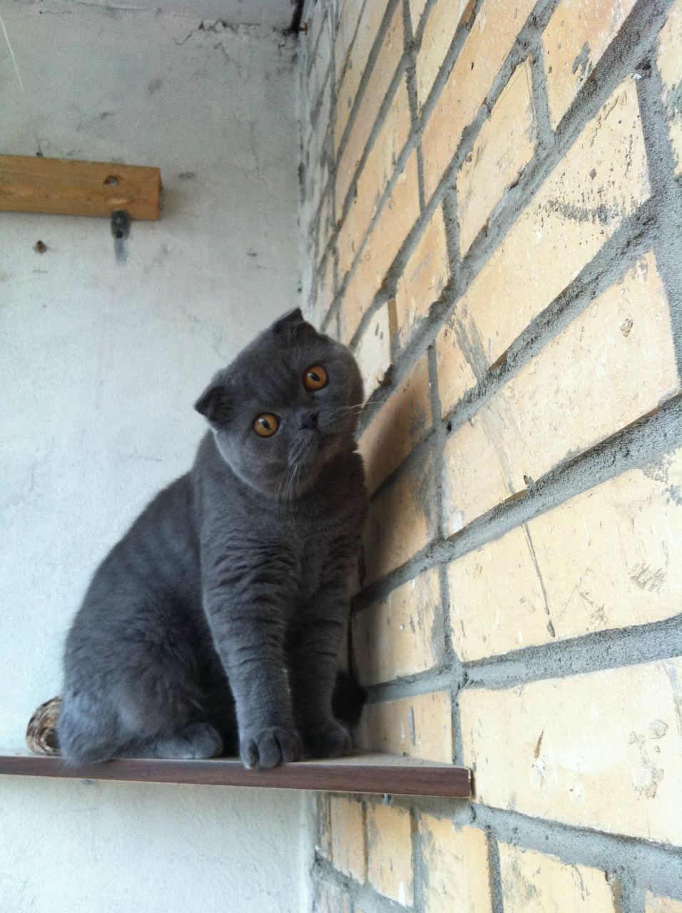 Рузиля Шафигуллина _М_а_л_ы_ш_к_а_ | Бузулук