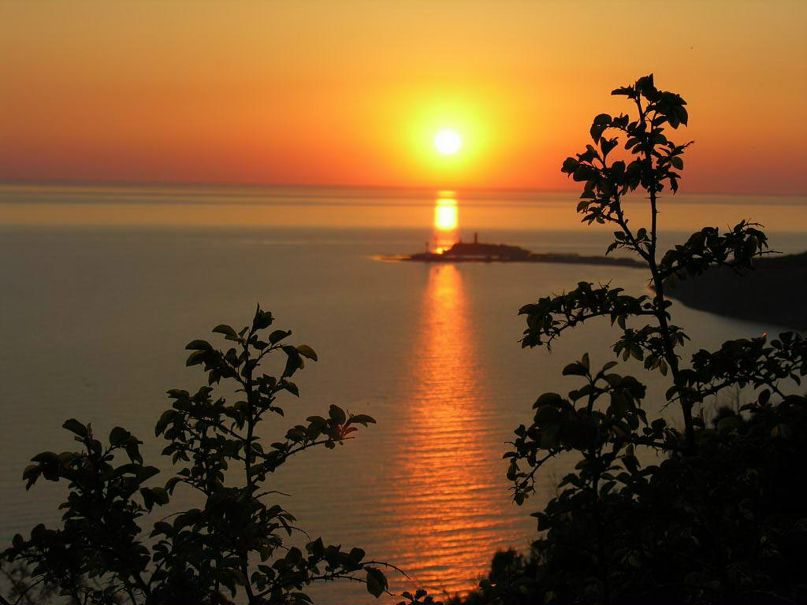 Наталья Ганиева | Tokyo