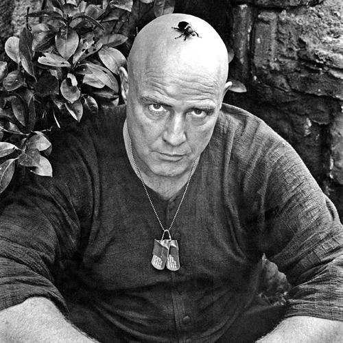 Владимир Палагушкин | Орехово-Зуево