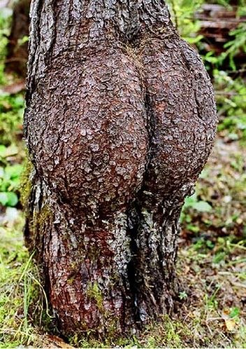 Виктория Жгулева | Нижний Тагил