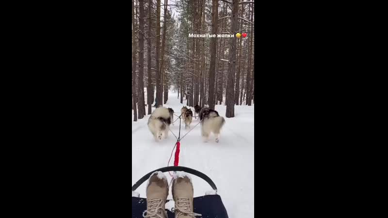 VID_43730531_130854_805.mp4