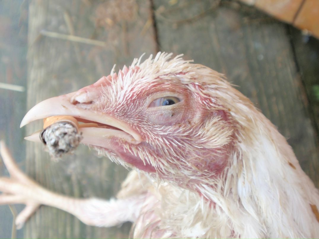 Владимир Меркулов | Москва