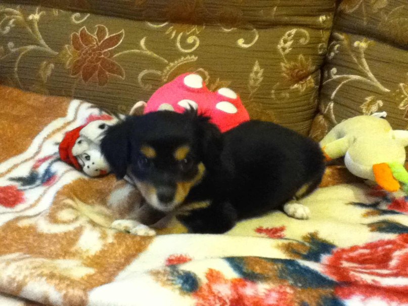 Светлана Иванова | Псков