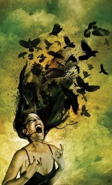 Алина Товкач | Житомир