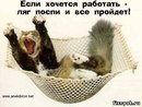 Фотография Смирнова Сергея