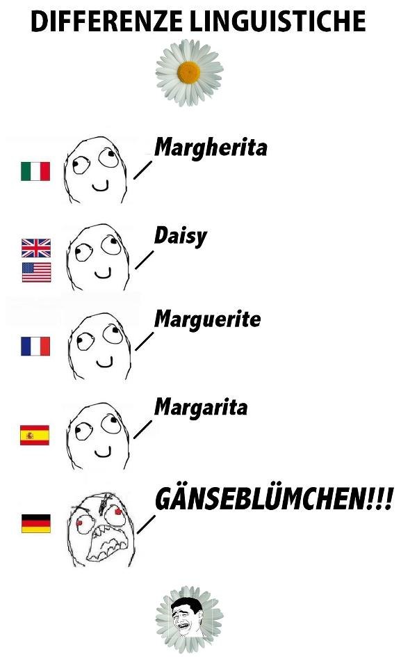 Алексей Митрохин | Toronto