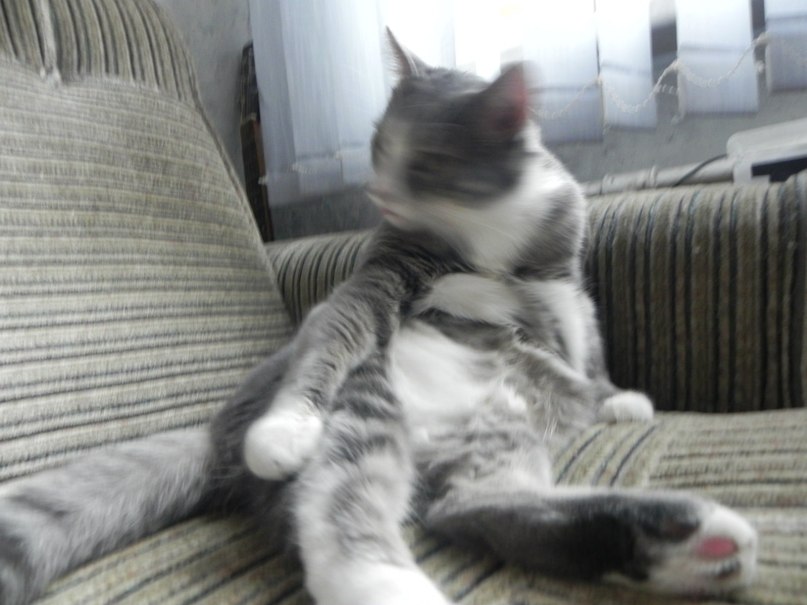 Максим Мусапиров | Санкт-Петербург