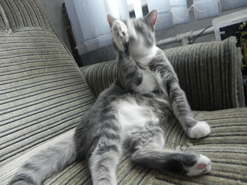 Максим Мусапиров | Санкт-Петербург