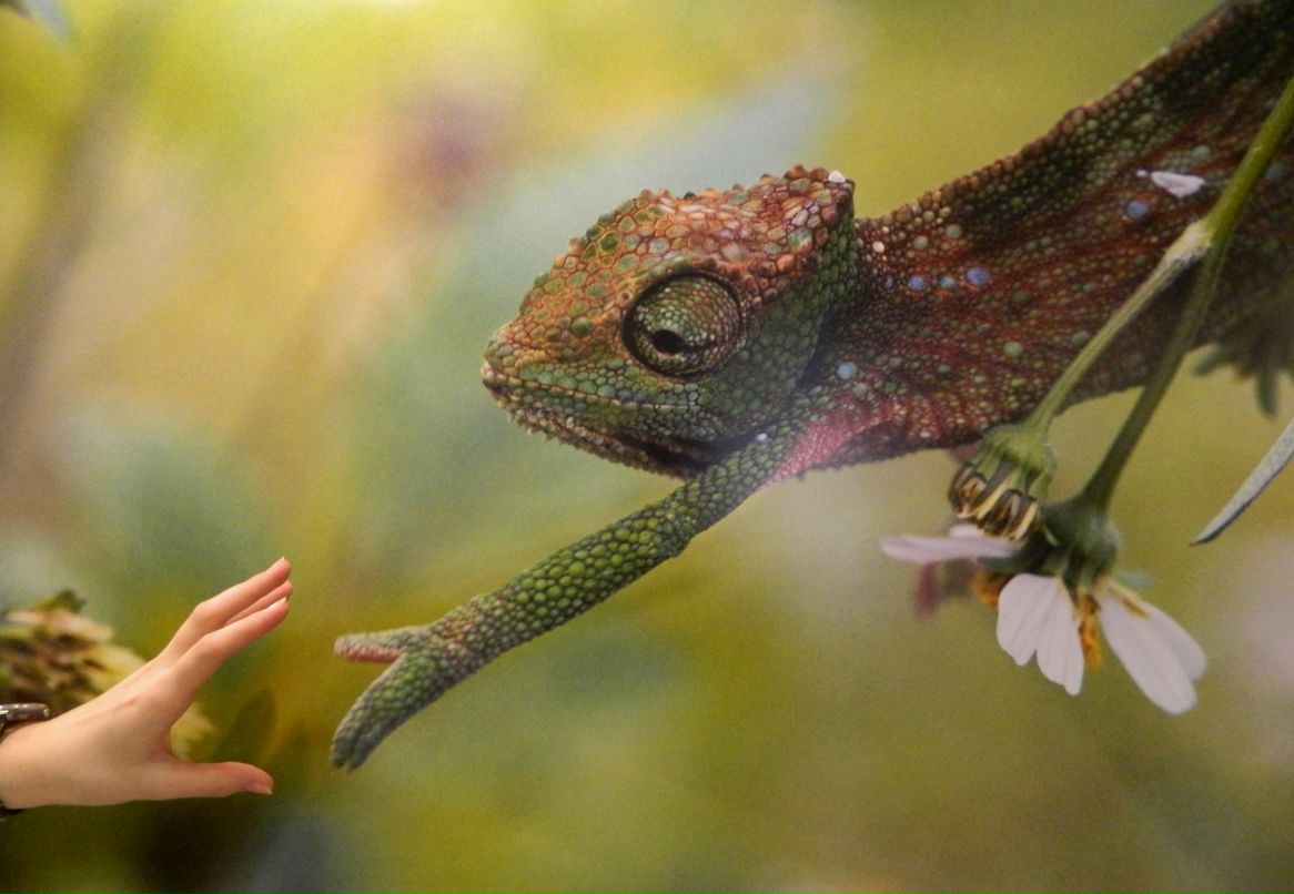 Юлия Попова | Санкт-Петербург