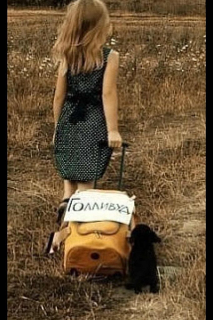 Эми Саркисова | 