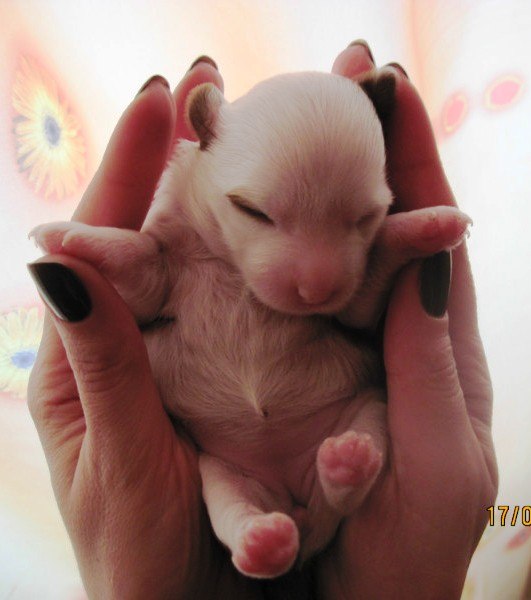 Татьяна Бульдогомама | Ижевск