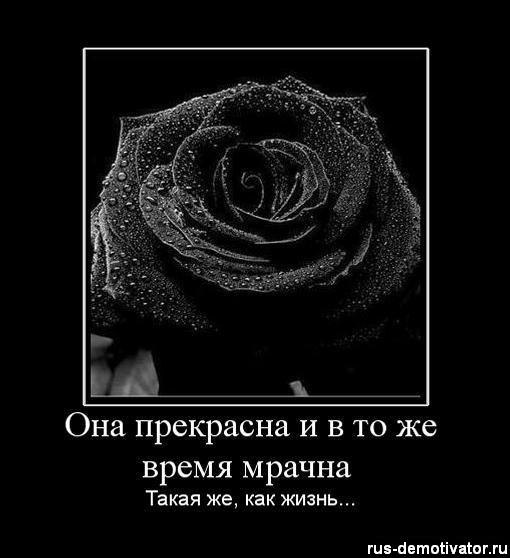 Nikolas Kin | Санкт-Петербург