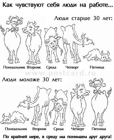Юлия Янина | Одесса