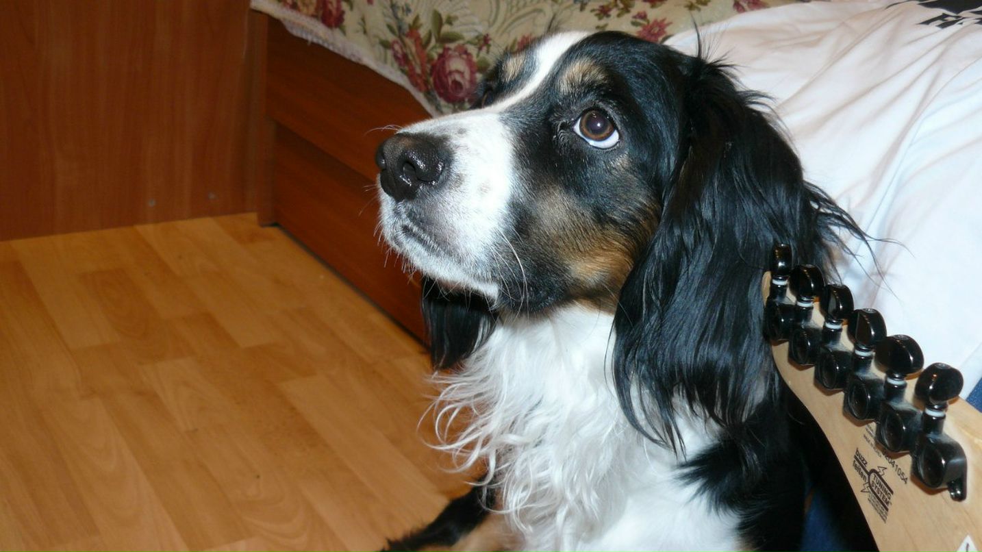 Shurik Later Y | Якутск