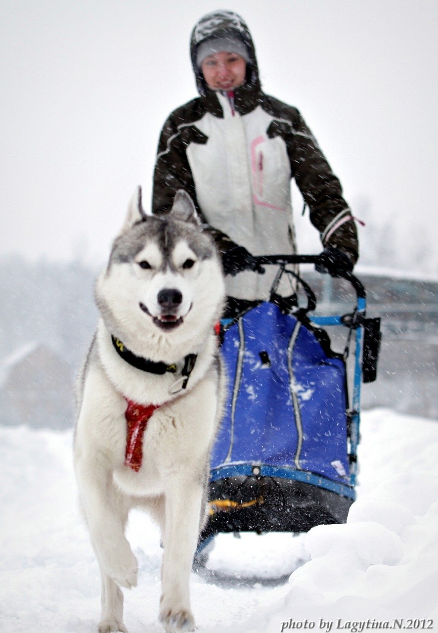 Мария Лукьянова | Санкт-Петербург