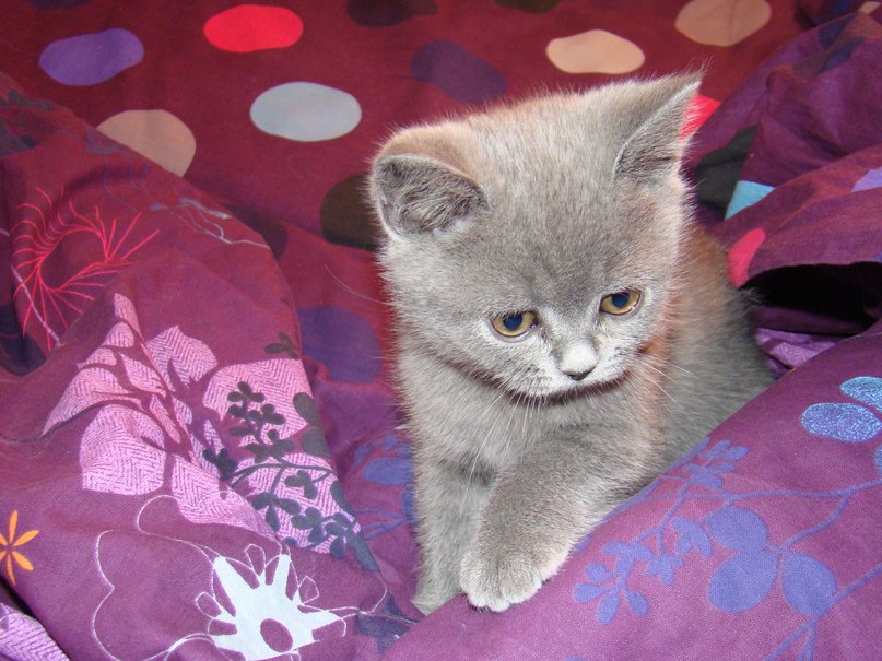 Екатерина Манцевич | Пермь